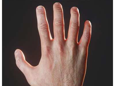 Rigged Hand model Photorealistic with Nails Low-poly 3D model