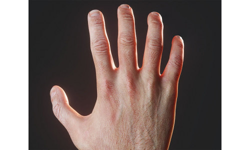 Rigged Hand model Photorealistic with Nails Low-poly 3D model