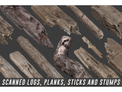 Scanned Logs Planks Sticks and Stumps Low-poly 3D model