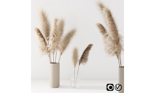 Set of pampas in vase 3D model