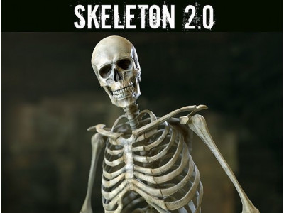 Skeleton 2 Low-poly 3D model