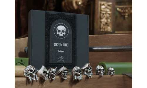 Skull Rin Builder 3D model