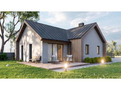 Small house with surroundings archicad sketchup lumion 3D model