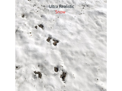 Snow ground Scan 10k 3D model