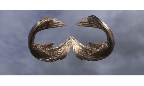 Spiral Elements Wings Curved 3D model