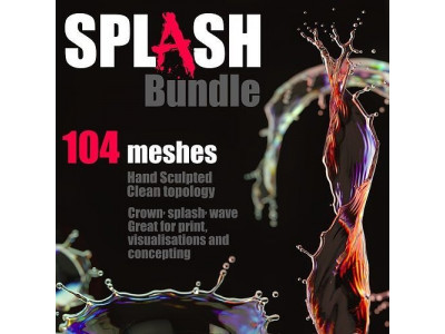 SplashBundle 3D model