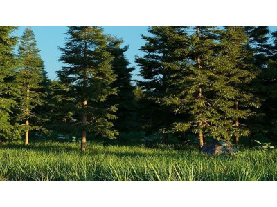 Spring Forest 3D model