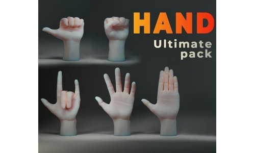 Studio Pack  -- Hand IMM Brush Low-poly 3D model