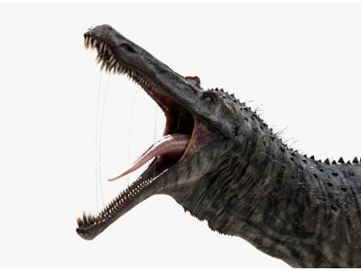 Suchomimus tenerensis Low-poly 3D model