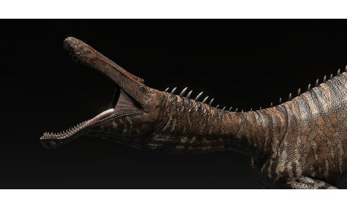 Suchominus Asset Pack Low-poly 3D model
