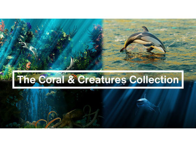 The Coral And Creatures Collection 3D model