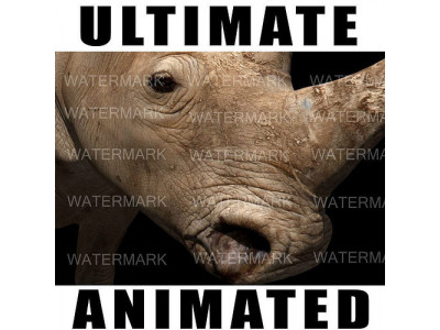 The Ultimate rhino - 3d rhinoceros model 3D model