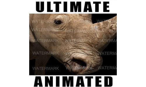The Ultimate rhino - 3d rhinoceros model 3D model