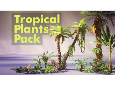 Tropical Plants Pack Low-poly 3D model