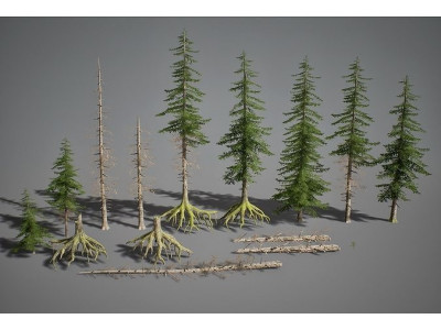 UE4 - Fir Trees  Low-poly 3D model