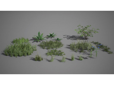 UE4 - Forest Foliage Low-poly 3D model