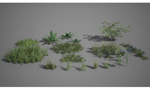 UE4 - Forest Foliage Low-poly 3D model
