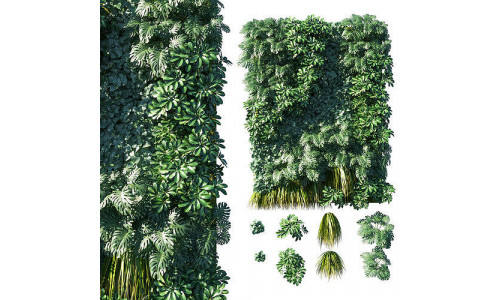 Vertical garden  Green wall 02 3D model