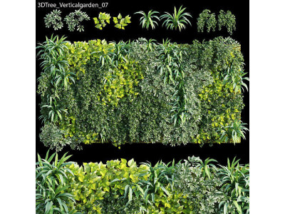 Verticalgarden - Green wall 07 3D model