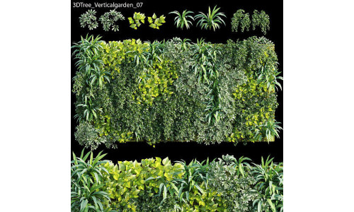 Verticalgarden - Green wall 07 3D model