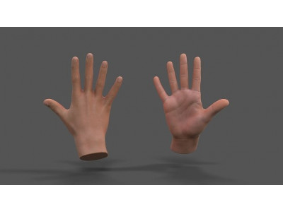 VR Hands - Male Hands Low-poly 3D model