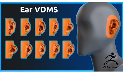 Zbrush - Ear- VDM Brushes 3D model